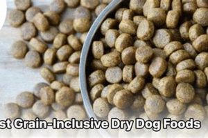 The *Best* Grain Inclusive Dog Food: *Top* Choices! | World’s Most Delicious Foods: Must-Try Dishes from Every Country
