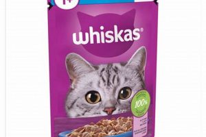 Best Wet Cat Food Pouches: Health & Flavor Guide | World’s Most Delicious Foods: Must-Try Dishes from Every Country