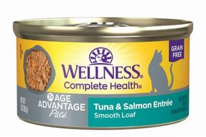 Best Wellness Senior Cat Food: Health & Vitality | World’s Most Delicious Foods: Must-Try Dishes from Every Country