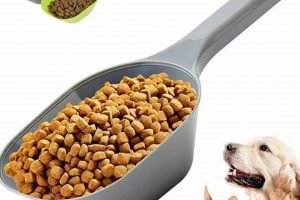 Best Dog Food Scoop: Measuring, Serving & More | World’s Most Delicious Foods: Must-Try Dishes from Every Country