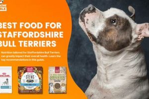 Top-Rated Best Dog Food for Staffies: Buyer's Guide | World’s Most Delicious Foods: Must-Try Dishes from Every Country