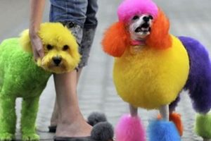 Dog Skin: Does Food Coloring Irritate Your Pup's Skin? | World’s Most Delicious Foods: Must-Try Dishes from Every Country