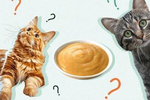 Is Baby Food Safe for Cats? The Kitten Food Alternative | World’s Most Delicious Foods: Must-Try Dishes from Every Country