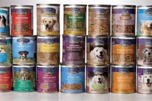 Top-Rated: Best Senior Canned Dog Food for Longevity | World’s Most Delicious Foods: Must-Try Dishes from Every Country