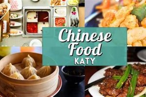 Top-Rated: Best Chinese Food Katy, TX - Authentic Eats! | World’s Most Delicious Foods: Must-Try Dishes from Every Country
