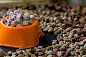 Best Semi Soft Dog Food: Reviews & Guide For Happy Dogs | World’s Most Delicious Foods: Must-Try Dishes from Every Country