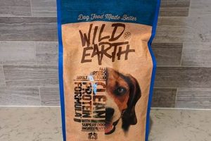 Best Whiskers Dog Food: Reviews &amp; Nutrients Guide | World’s Most Delicious Foods: Must-Try Dishes from Every Country