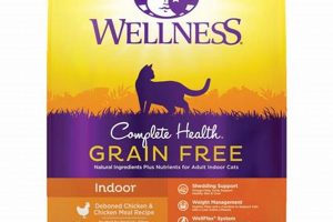 Best Wellness Dry Cat Food: Health & Happiness! | World’s Most Delicious Foods: Must-Try Dishes from Every Country