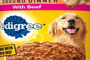 Best Beef Canned Dog Food: Reviews &amp; Buying Guide | World’s Most Delicious Foods: Must-Try Dishes from Every Country