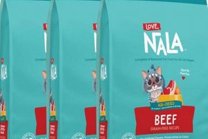 Best Beef Dry Cat Food: Healthy & Delicious Kibble | World’s Most Delicious Foods: Must-Try Dishes from Every Country