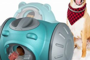 Best Food Dog Toys: Fun Feeding for Your Dog! | World’s Most Delicious Foods: Must-Try Dishes from Every Country