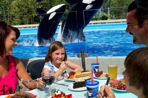 Find the Best Food in SeaWorld Orlando: Top Bites & More | World’s Most Delicious Foods: Must-Try Dishes from Every Country