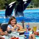 Find the Best Food in SeaWorld Orlando: Top Bites & More | World’s Most Delicious Foods: Must-Try Dishes from Every Country