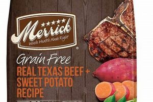 Is All Meat Dog Food Best? Guide & Tips | World’s Most Delicious Foods: Must-Try Dishes from Every Country