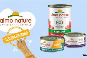 Best Almo Cat Food: Reviews & Alternatives for Felines | World’s Most Delicious Foods: Must-Try Dishes from Every Country