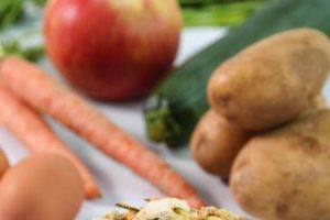 Best Ground Turkey Dog Food: Recipes &amp; Benefits for Dogs | World’s Most Delicious Foods: Must-Try Dishes from Every Country