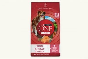Top-Rated: Best Dog Food for Sensitive Skin Relief Today! | World’s Most Delicious Foods: Must-Try Dishes from Every Country