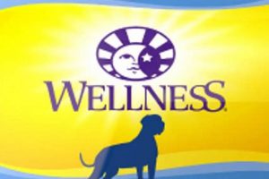 Best Wellness Large Breed Dog Food: Expert Pick + Benefits | World’s Most Delicious Foods: Must-Try Dishes from Every Country