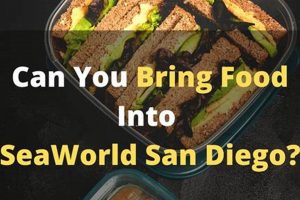 SeaWorld Food: Can You Bring Food In SeaWorld Parks? Guide | World’s Most Delicious Foods: Must-Try Dishes from Every Country