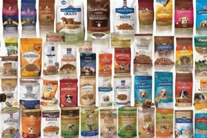 Top Wholesome Brand Dog Food Guide for Happy Dogs World’s Most Delicious Foods: Must-Try Dishes from Every Country Top Wholesome Brand Dog Food Guide for Happy Dogs | World’s Most Delicious Foods: Must-Try Dishes from Every Country
