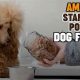 Best Standard Poodle Dog Food: Diet &amp; Health Tips | World’s Most Delicious Foods: Must-Try Dishes from Every Country