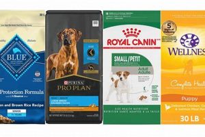 Top-Rated Best Dog Food for Brittany Spaniels: Reviews & Guide | World’s Most Delicious Foods: Must-Try Dishes from Every Country