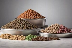 OC Raw Dog Food Reviews: Is it Worth It? | World’s Most Delicious Foods: Must-Try Dishes from Every Country