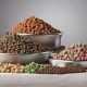 OC Raw Dog Food Reviews: Is it Worth It? | World’s Most Delicious Foods: Must-Try Dishes from Every Country