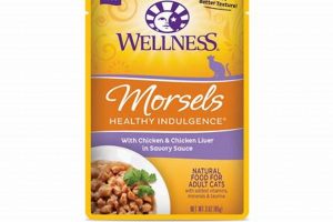 Best Wellness Morsels Cat Food: Healthy Cat, Happy Life! | World’s Most Delicious Foods: Must-Try Dishes from Every Country