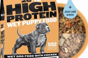 Best Bully Max Puppy Food: Fueling Your Bully's Growth | World’s Most Delicious Foods: Must-Try Dishes from Every Country