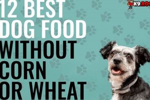 Best Dog Food Without Wheat: Health & Reviews | World’s Most Delicious Foods: Must-Try Dishes from Every Country
