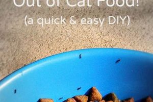 Stop Ants! Protect Your Cat's Food Bowl World’s Most Delicious Foods: Must-Try Dishes from Every Country Stop Ants! Protect Your Cat's Food Bowl | World’s Most Delicious Foods: Must-Try Dishes from Every Country