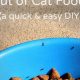 Stop Ants! Protect Your Cat's Food Bowl | World’s Most Delicious Foods: Must-Try Dishes from Every Country