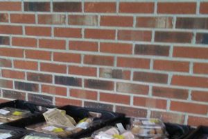 Find Aid: Kingsport TN Food Pantry Near Me | Guide | World’s Most Delicious Foods: Must-Try Dishes from Every Country