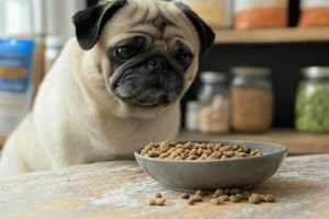 The Best Dog Food for Pugs With Skin Allergies (Guide) World’s Most Delicious Foods: Must-Try Dishes from Every Country The Best Dog Food for Pugs With Skin Allergies (Guide) | World’s Most Delicious Foods: Must-Try Dishes from Every Country