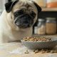 The Best Dog Food for Pugs With Skin Allergies (Guide) | World’s Most Delicious Foods: Must-Try Dishes from Every Country
