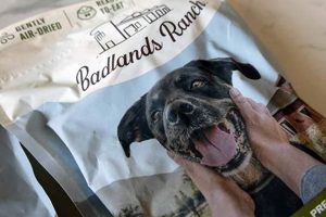 Why Is Some Ranch Dog Food Bad? Tips & Warnings! World’s Most Delicious Foods: Must-Try Dishes from Every Country Why Is Some Ranch Dog Food Bad? Tips & Warnings! | World’s Most Delicious Foods: Must-Try Dishes from Every Country