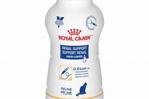 Best Liquid Food for Sick Cats: Boost Recovery! | World’s Most Delicious Foods: Must-Try Dishes from Every Country