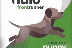 Fuel Your Dog: Nulo Frontrunner - Performance Dog Food | World’s Most Delicious Foods: Must-Try Dishes from Every Country