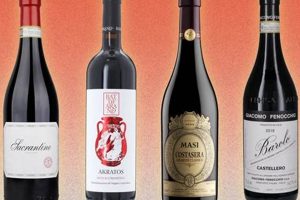 Top Picks: Best Red Wine for Italian Food Tonight! | World’s Most Delicious Foods: Must-Try Dishes from Every Country