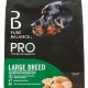 Best Pro Balance Dog Food Guide | World’s Most Delicious Foods: Must-Try Dishes from Every Country