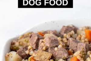 Venison Delight: Homemade Dog Food with Venison Recipe for Dogs | World’s Most Delicious Foods: Must-Try Dishes from Every Country