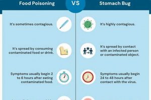 Bug Bites Back: Can You Sue for a Bug in Your Food? Legal Rights World’s Most Delicious Foods: Must-Try Dishes from Every Country Bug Bites Back: Can You Sue for a Bug in Your Food? Legal Rights | World’s Most Delicious Foods: Must-Try Dishes from Every Country
