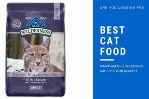Is Blue Wilderness Cat Food Good? Reviews & More World’s Most Delicious Foods: Must-Try Dishes from Every Country Is Blue Wilderness Cat Food Good? Reviews & More | World’s Most Delicious Foods: Must-Try Dishes from Every Country