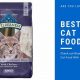 Is Blue Wilderness Cat Food Good? Reviews &amp; More | World’s Most Delicious Foods: Must-Try Dishes from Every Country
