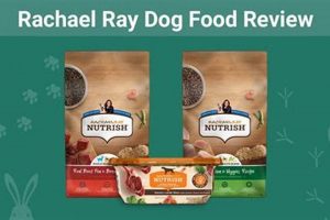 Dog Food Alert: Rachael Ray Recall Info & Safe Alternatives World’s Most Delicious Foods: Must-Try Dishes from Every Country Dog Food Alert: Rachael Ray Recall Info & Safe Alternatives | World’s Most Delicious Foods: Must-Try Dishes from Every Country