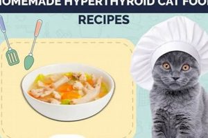 Best Cat Food for Hyperthyroidism: Diet & More! World’s Most Delicious Foods: Must-Try Dishes from Every Country Best Cat Food for Hyperthyroidism: Diet & More! | World’s Most Delicious Foods: Must-Try Dishes from Every Country