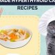 Best Cat Food for Hyperthyroidism: Diet &amp; More! | World’s Most Delicious Foods: Must-Try Dishes from Every Country
