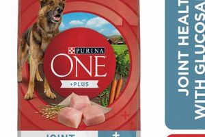 Best Dog Food for Joint Health: Keep Your Dog Active | World’s Most Delicious Foods: Must-Try Dishes from Every Country