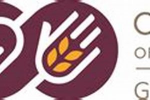 Your Local Food Bank Green Valley AZ Resources | World’s Most Delicious Foods: Must-Try Dishes from Every Country